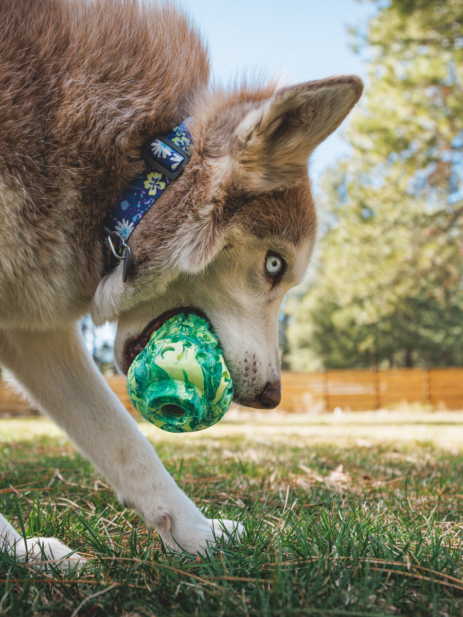 ruffwear-jouet-resistant-eco-friendly-durable-naturel-morel-vert