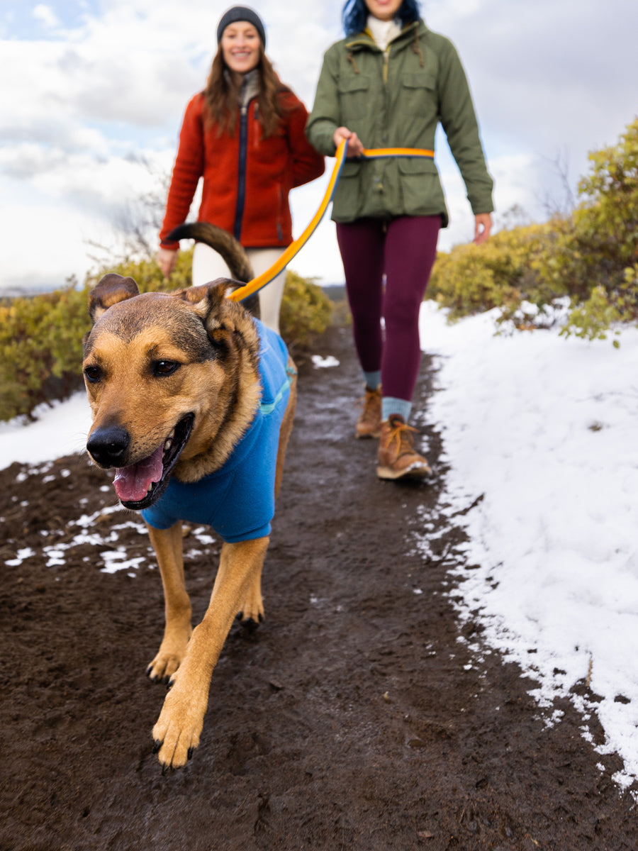 ruffwear-laisse-main-libre-pour-chien-roamer-jaune