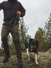 ruffwear-laisse-main-libre-pour-chien-roamer-vert