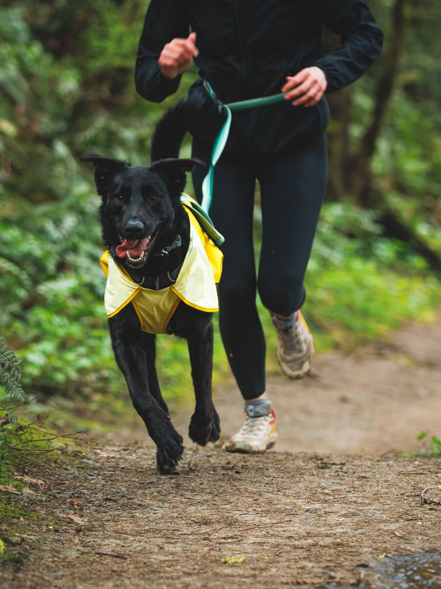 ruffwear-laisse-main-libre-pour-chien-roamer-vert
