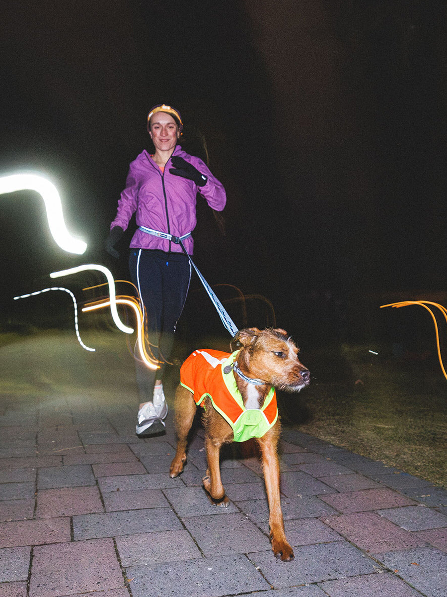 ruffwear-veste-visibilite-pour-chien-Lumenglow-High-Vis-Jacket