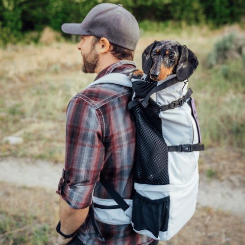 sac à dos de transport k9 sportsack pour chien inooko- collection sortir