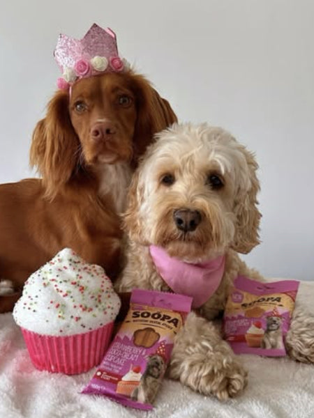 soopa-friandise-naturelles-chien-dog-bites-fraise-creme-de-coco