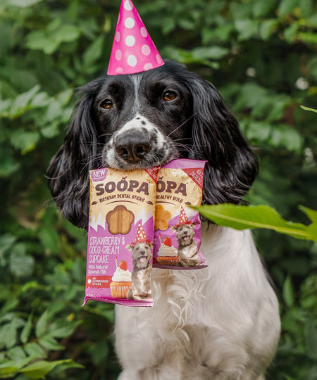 soopa-friandise-naturelles-chien-dog-treat-fraise-creme-de-coco
