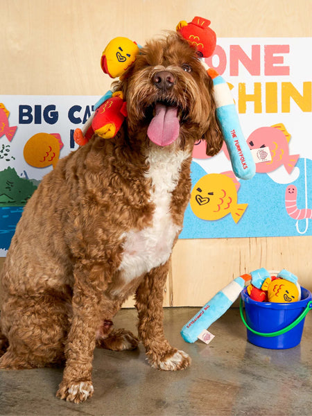 the-furry-folks-jouet-de-fouille-puzzle-interactif-pour-chien-canne-a-peche-poisson