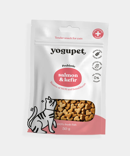yogupet-friandise-yaourt-pour-chat-saumon