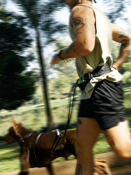 zee-dog-ceinture-canicross-pour-chien-zee-run-belt