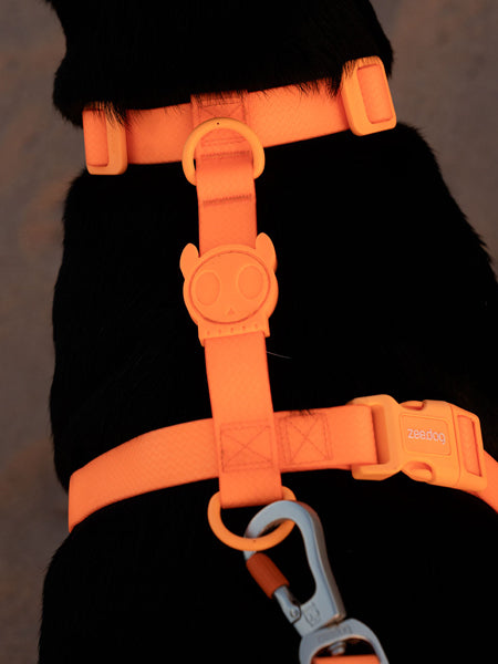 zee-dog-harnais-en-H-pour-chien-impermeable-Neopro-tangerine-orange