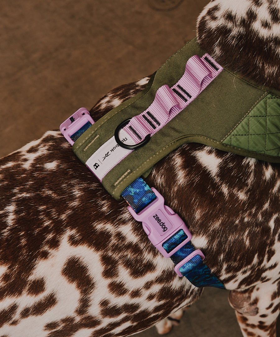zee-dog-x-reebok-trekk-harnais-pour-chien