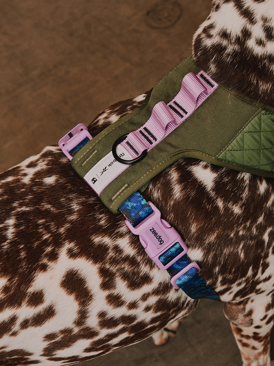 zee-dog-x-reebok-trekk-harnais-pour-chien