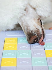 Jouet d'occupation et de réflexion pour chien - Panel slider - ZippyPaws - inooko