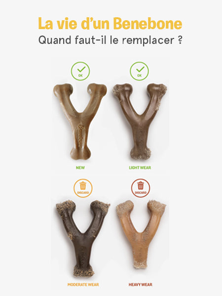    Benebone-jouet-a-macher-pour-chien-wishbone-bacon
