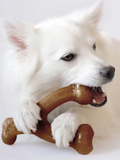     Benebone-jouet-a-macher-pour-chien-wishbone-poulet