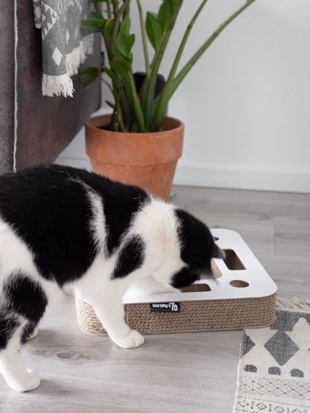 District70-jeu-griffoir-carton-pour-chat-design