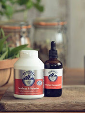 Dorwest-Scullcap-Valériane-chien-chat-anti-stress