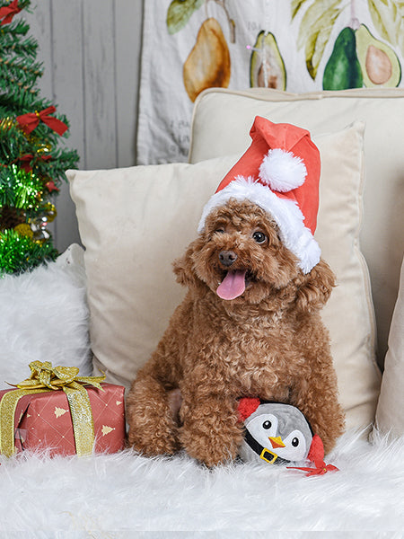        HugSmart-peluche-interactive-pour-chien-chiot-pingouin-noel