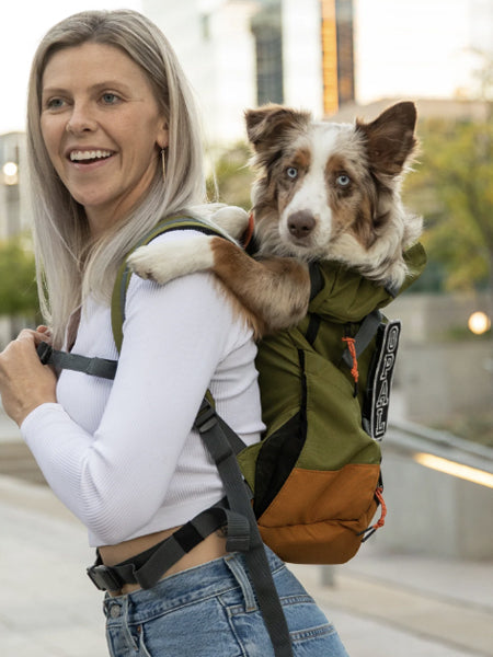 K9-Sport-Sack-Urban-3-sac-a-dos-transport-chien-vert