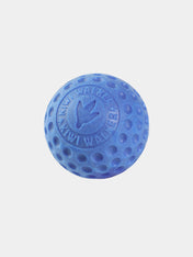 Kiwi-walker-balle-TPR-pour-chien-chiot-bleu