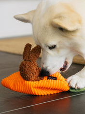     Pet-play-jouet-peluche-chien-Hippity-Hoppity-Funny-Bunnies