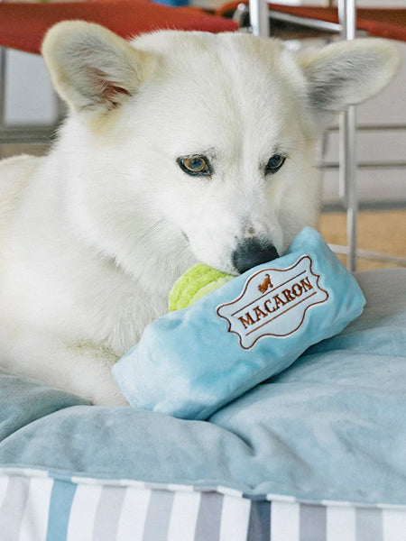    Pet-play-jouet-peluche-chien-pup-cup-cafe-Mutt-a-rons