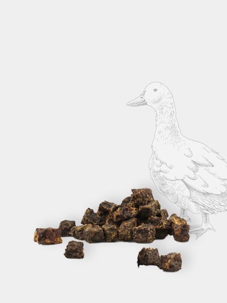     Pets-best-friandises-pour-chien-premium-education-carnard