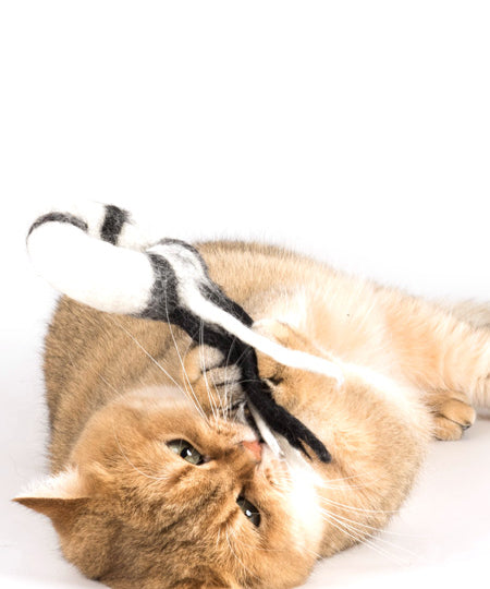 Profeline-jouet-pour-chat-herbe-a-chat-catnip-donatcomet-laine