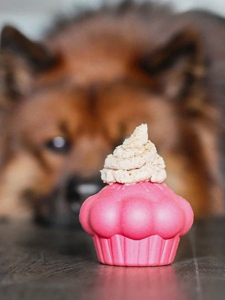 SodaPup-jouet-interactif-pour-chien-chiot-cupcake