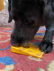     SodaPup-jouet-interactif-pour-chien-chiot-fromage