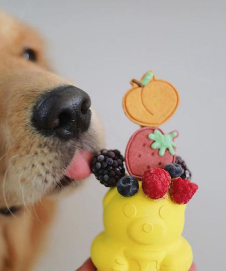     SodaPup-jouet-interactif-pour-chien-chiot-ourson-miel