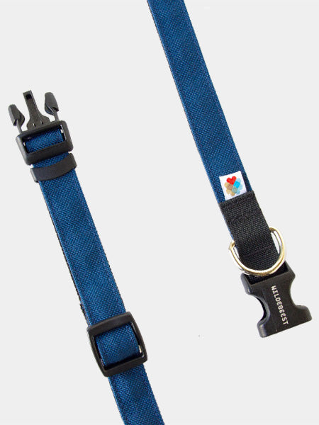 Wildebeest-collier-de-qualite-pour-chien-bleu