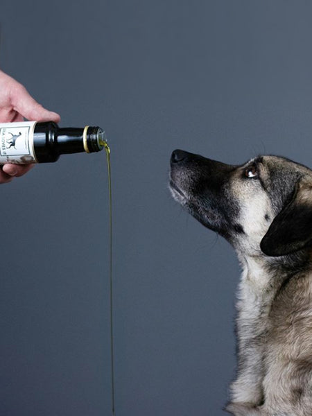 Lila-loves-it-Melange-5-huiles-chien