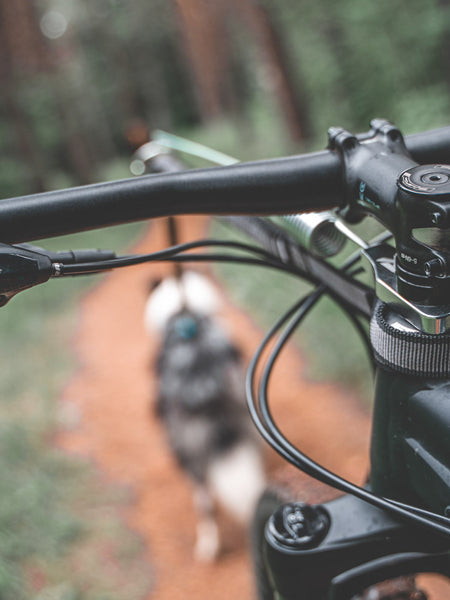        non-stop-dogwear-bike-antenna