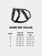        non-stop-dogwear-harnais-chien-line-harness-5.0-orange