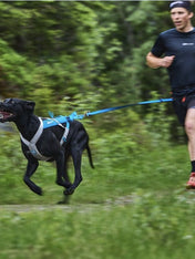       non-stop-dogwear-laisse-bungee-bleu
