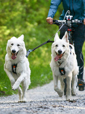     non-stop-dogwear-laisse-double-bungee