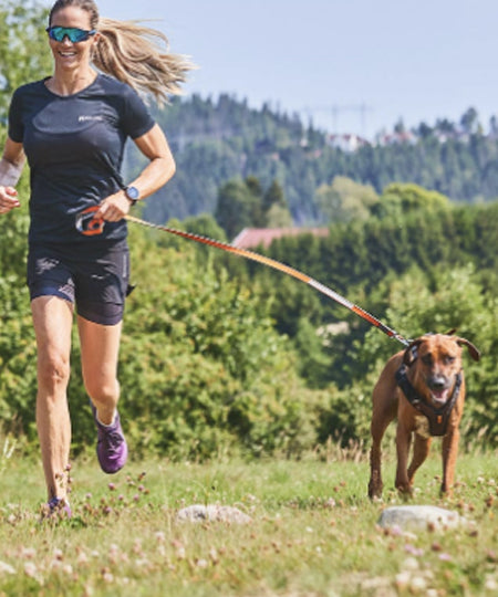     non-stop-dogwear-laisse-resistante-mousqueton-MOVE-LEASH-pour-chien