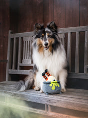 pet-play-peluche-chien-halloween-potion-magique