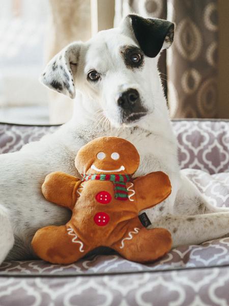 pet-play-jouet-pour-chien-noel