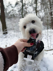     syta-micha-friandise-patee-en-tube-education-pour-chien-saumon-tapioca