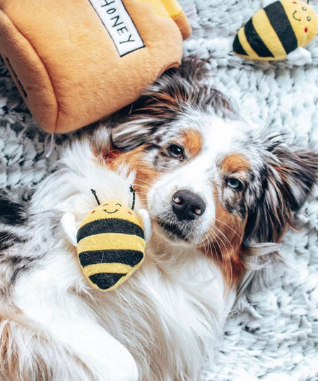 zippy-paws-peluche-pour-chien-honey-pot